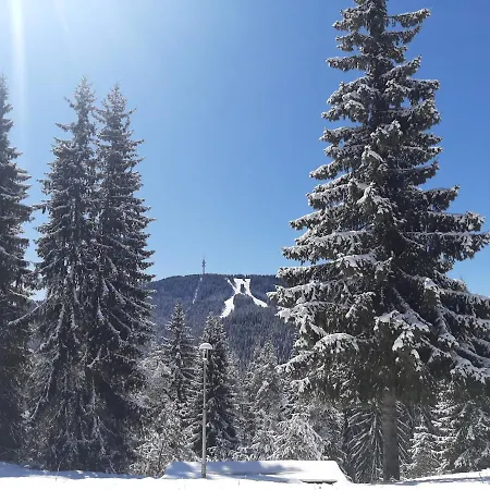 карлин